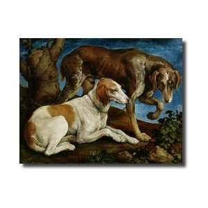   Hunting Dogs Tied To A Tree Stump C154850 Giclee Print