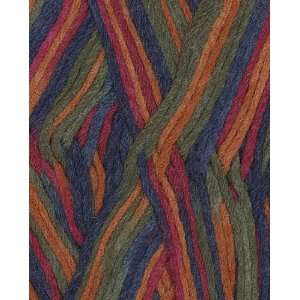  Berroco Comfort Colors Yarn 9836 Finnians Rainbow: Arts 