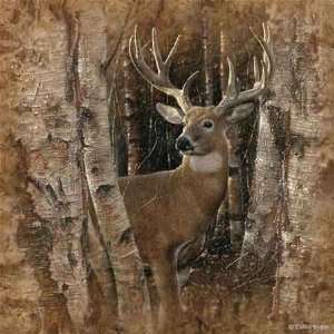  Collin Bogle   Birchwood Buck Canvas Giclee: Home 