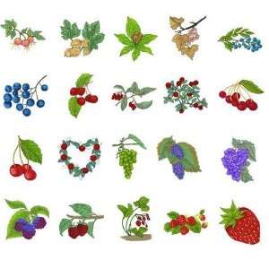  Great Notions Embroidery Machine Designs FRUITS Kitchen 