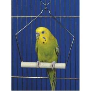  Penn Plax Swing Wood 4 inch Bird Toy: Pet Supplies