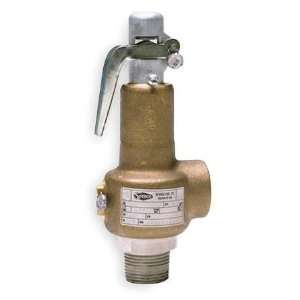  SPENCE 041AFFA 100 Relief Valve,1 1/4 x 1 1/4 In: Home 
