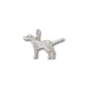  0151 Setter Dog Charm   Gold Plated: Jewelry