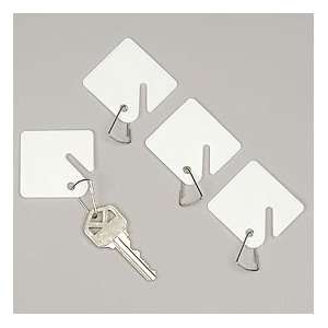   Blank Plastic Key Tags, White, Set of 100 (0017): Office Products