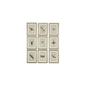  Uttermost Gold Leaf Insect Collection 9Pc Art: Home 