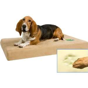  DogPedic Sleep System   Memory Foam Medium Bed: Kitchen 