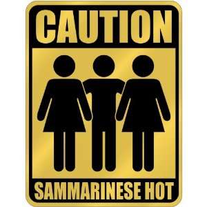  New  Caution : Sammarinese Hot  San Marino Parking Sign 