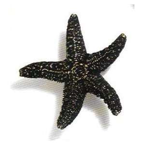   objects   scallops & seahorses mini starfish knob: Home Improvement