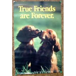    True Friends Are Forever Poster Case Pack 96 