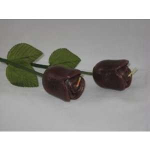  Long Stemmed Chestnut Brown Rose Candle Case Pack 24 