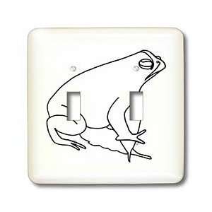   Art Drawing   Light Switch Covers   double toggle switch Home