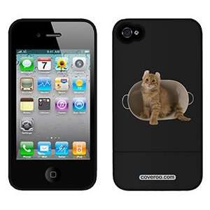  American Curl on AT&T iPhone 4 Case by Coveroo: MP3 