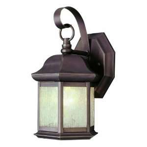  Trans Globe Lighting 4870 BN 10 Inch 1 Light Outdoor Small 
