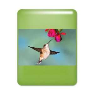    iPad Case Key Lime Black Chinned Hummingbird: Everything Else