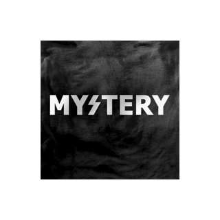 MYSTERY TEXT LOGO YOUTH SS L 