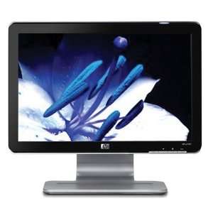  HP W1707 17 inch LCD Monitor: Computers & Accessories