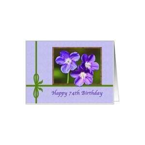  74th Birthday, Happy, Violas, Purple Flowers Card: Toys 