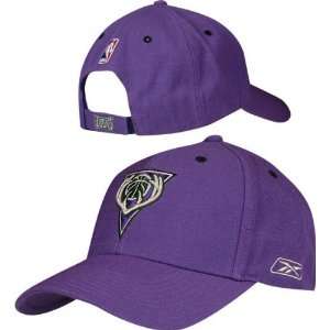  Milwaukee Bucks Purple Alley Oop Hat: Sports & Outdoors