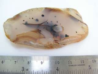 The Yellowstone River Agate Bedsfrom 2008