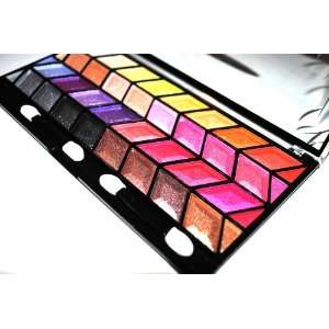  Shimmer 40 Class Color Eyeshadow Design Makeup Kit: Beauty