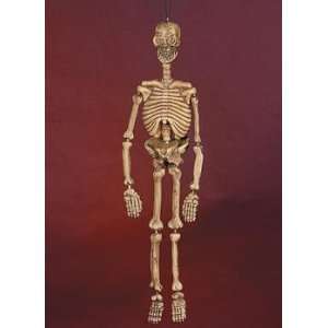  Two Foot Tall Halloween / Pirate Skeleton 