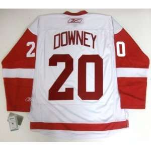 Aaron Downey Detroit Red Wings Rbk Jersey Real Medium   Sports 