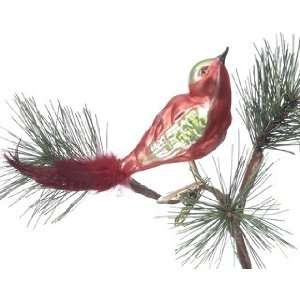 Personalized Bird   Red Christmas Ornament:  Home & Kitchen