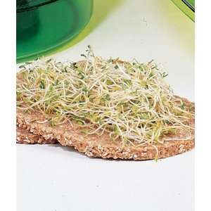  Sprout Seed, Broccoli 1/4 lb. Patio, Lawn & Garden