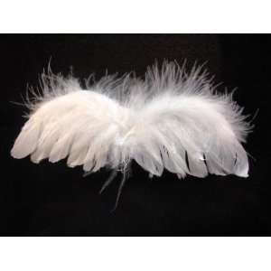  NEW Angel Wing Hair Clip, Limited. Beauty