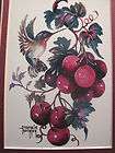 Hummingbird and Grapes by Frankie Buckley Matted Print