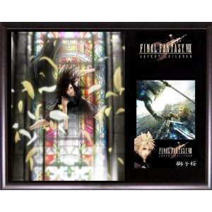 Final Fantasy VII Advent Children   Tifa   Collectible Plaque Set (#1 
