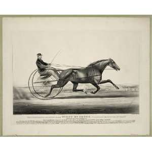   Horse Racing and Trotting Widow Mc Chree Vintage Image