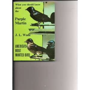  What You Should Know about the Purple Martin Americas 