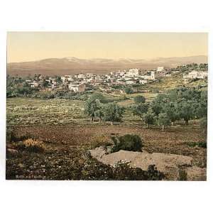   of General view, Jenin, Holy Land, i.e., West Bank: Home & Kitchen