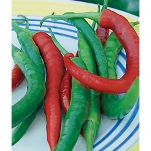  Pepper, Hot Kung Pao Hybrid 1 Pkt. (30 seeds) Patio, Lawn 