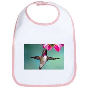    Baby Bib Petal Pink Male Calliope Hummingbird: Everything Else