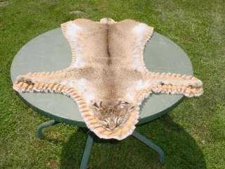 Nebraska Bobcat rug/pelt/skins for Hunter/log Cabin  