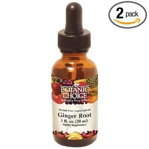  Botanic Choice Liquid Extract, Ginger Root, 1 Fluid Ounce 