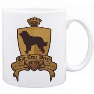    New  Great Pyrenees   The True Breed  Mug Dog: Home & Kitchen