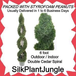   Cedar Twisting Spiral Topiary Tree Plant packed in peanuts: Home