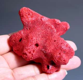 Dyed Red Coral Specimen Philippines  
