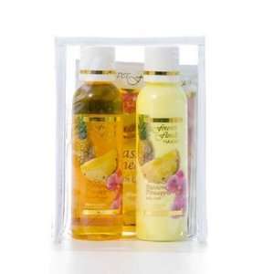  PASSION PINEAPPLE TRAVEL ESSENTIALS PACK   HAWAIIAN GIFTS Beauty