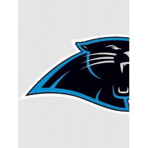 Wallpaper Fathead Fathead NFL Players and Logos Carolina Panthers Logo 