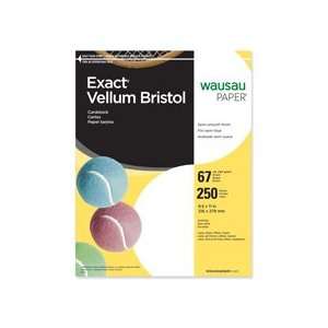  Vellum Bristol paper provides great durability. Ideal for all types 