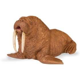  Safari 248729 Walrus Animal Figure  Pack of 6: Toys 