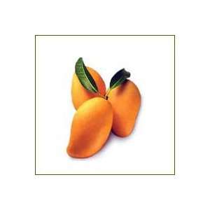 Alphonso Indian Mango 6 Mangos shipped fresh direct FROM INDIA
