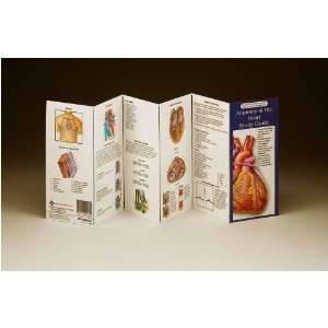  Illustrated Pocket Anatomy of the Heart Study Guide PA 2 