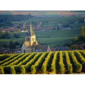  Vineyard and Church, Ville Dommange, Champagne, France 