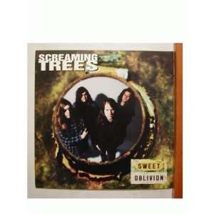Screaming Trees Poster Flat 2 Sided