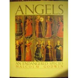  Angels An Endangered Species Malcolm Godwin Books
